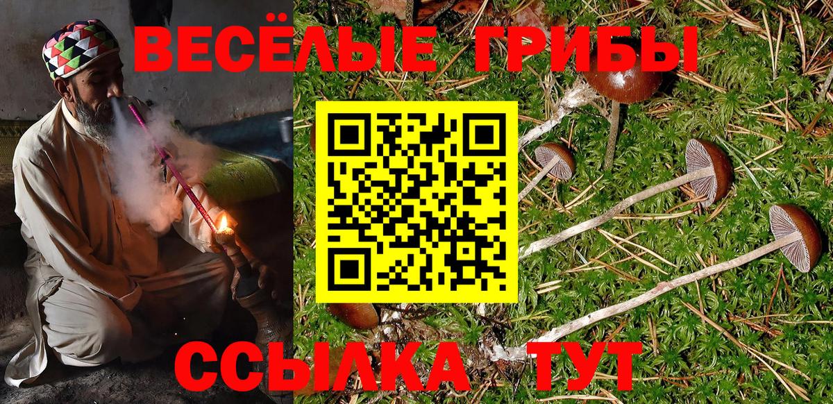 Псилоцибиновые грибы мухоморы Курган